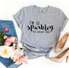 I’m So Sparkley You Already Know T-shirt